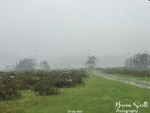 Lanbister Common Original