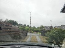 Lanbister Common Original