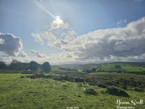 Lanbister Common Original