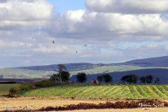 Farming Silage