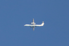 Flybe
