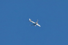 Flybe