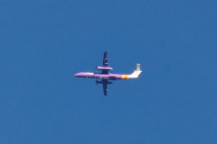 Flybe