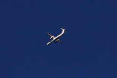 Flybe