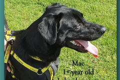 Mac