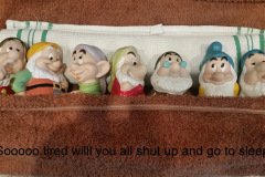 Seven-Dwarfs-08