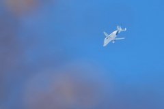 Airbus Beluga