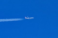 American Airline