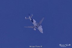 Beluga Plane