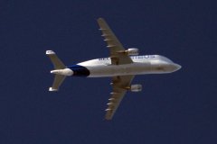 Beluga Plane