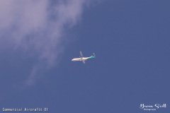 Commercial Aircraftt