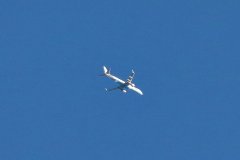 Flybe