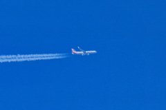 American Airline