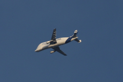 Beluga Aircraft heading to Chester