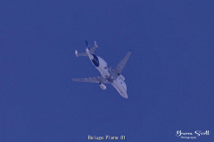 Beluga Plane