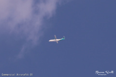 Commercial Aircraftt Commercial Aircraftt