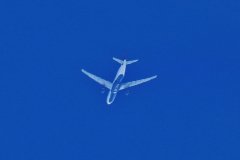 Delta Airline Paris to Indianapolis