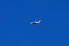 Easyjet Airline