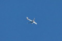 Flybe