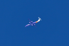 Flybe