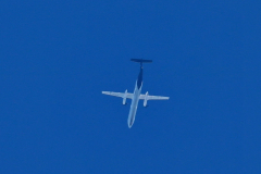 G ECOI Flybe Exeter to Belfast