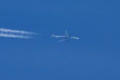 N NW Delta Airways Amsterdam to Boston