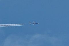 Ryan Air