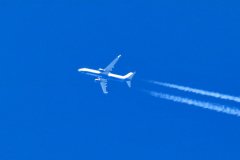 Sunexpress com