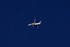 TUI Airline
