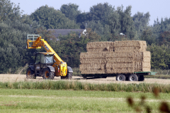 Farming 2013