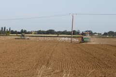 Harrow & Sowing