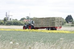 Hay Bales Removal