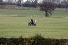 Seeding bald patches