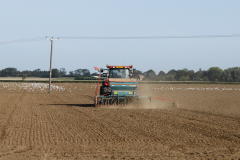 Sowing the Field