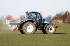 Seeding the Field