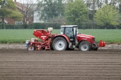 Sowing Potatoe