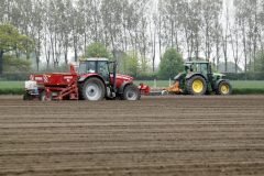 Sowing Potatoe