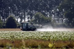 Spraying the Field