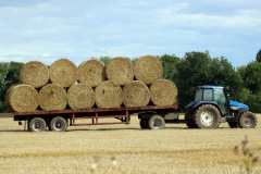Farming 2015