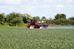 Spraying Wheat