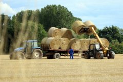 Straw Baling