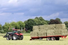 Cutting the Grass