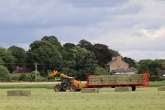 Cutting the Grass