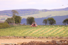 Farming Silage