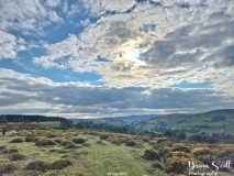 Lanbister Common Original