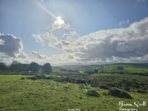 Lanbister Common Original