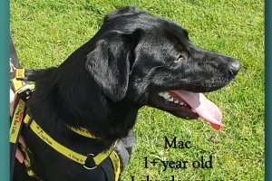 Mac
