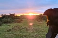 Mac watching the sun set